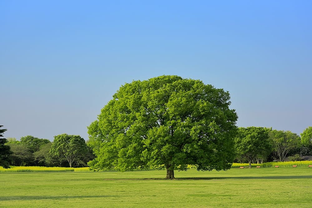 石川県金沢市鳴和町ヌ 4DK|大黒建設｜いつまでも安心して暮らせる住まいを