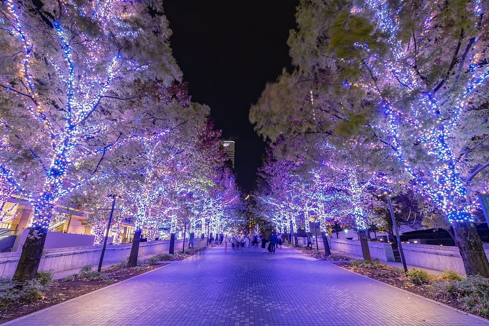 石川県金沢市鳴和町ヌ 4DK|大黒建設｜いつまでも安心して暮らせる住まいを