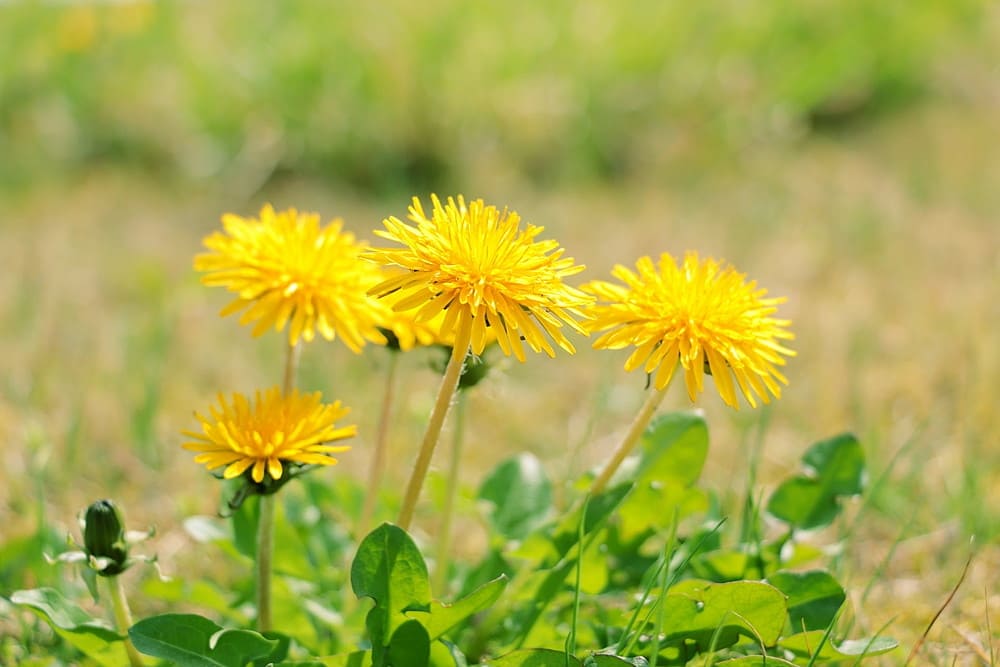 物件2物件2物件2物件2物件2物件2物件2|大黒建設｜いつまでも安心して暮らせる住まいを