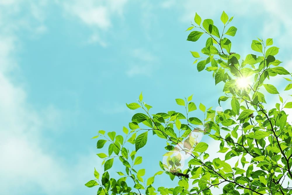 物件1物件1物件1物件1物件1物件1物件1物件1|大黒建設｜いつまでも安心して暮らせる住まいを